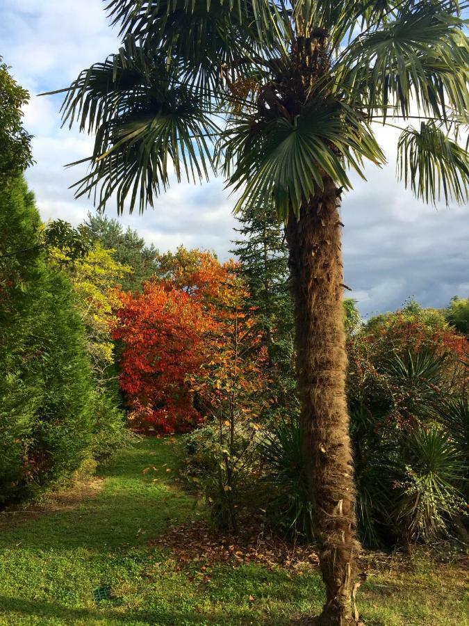 Le Belvedere Thiviers Eksteriør bilde